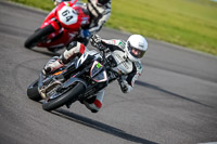 PJ-Motorsport-2019;anglesey-no-limits-trackday;anglesey-photographs;anglesey-trackday-photographs;enduro-digital-images;event-digital-images;eventdigitalimages;no-limits-trackdays;peter-wileman-photography;racing-digital-images;trac-mon;trackday-digital-images;trackday-photos;ty-croes